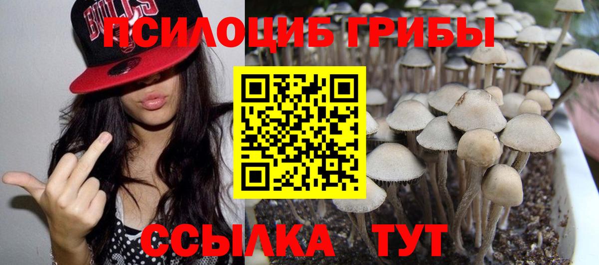 Клинцы  Галлюциногенные грибы Magic Shrooms  Вход с VPN 